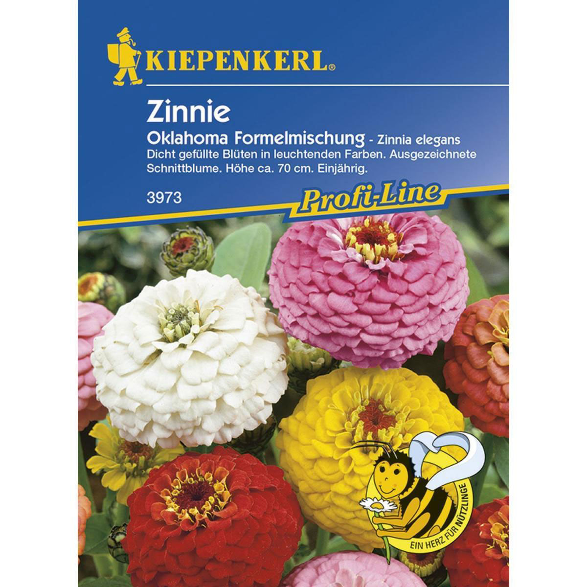 Kiepenkerl Zinnien Oklahoma-Formelmix Profi-Line