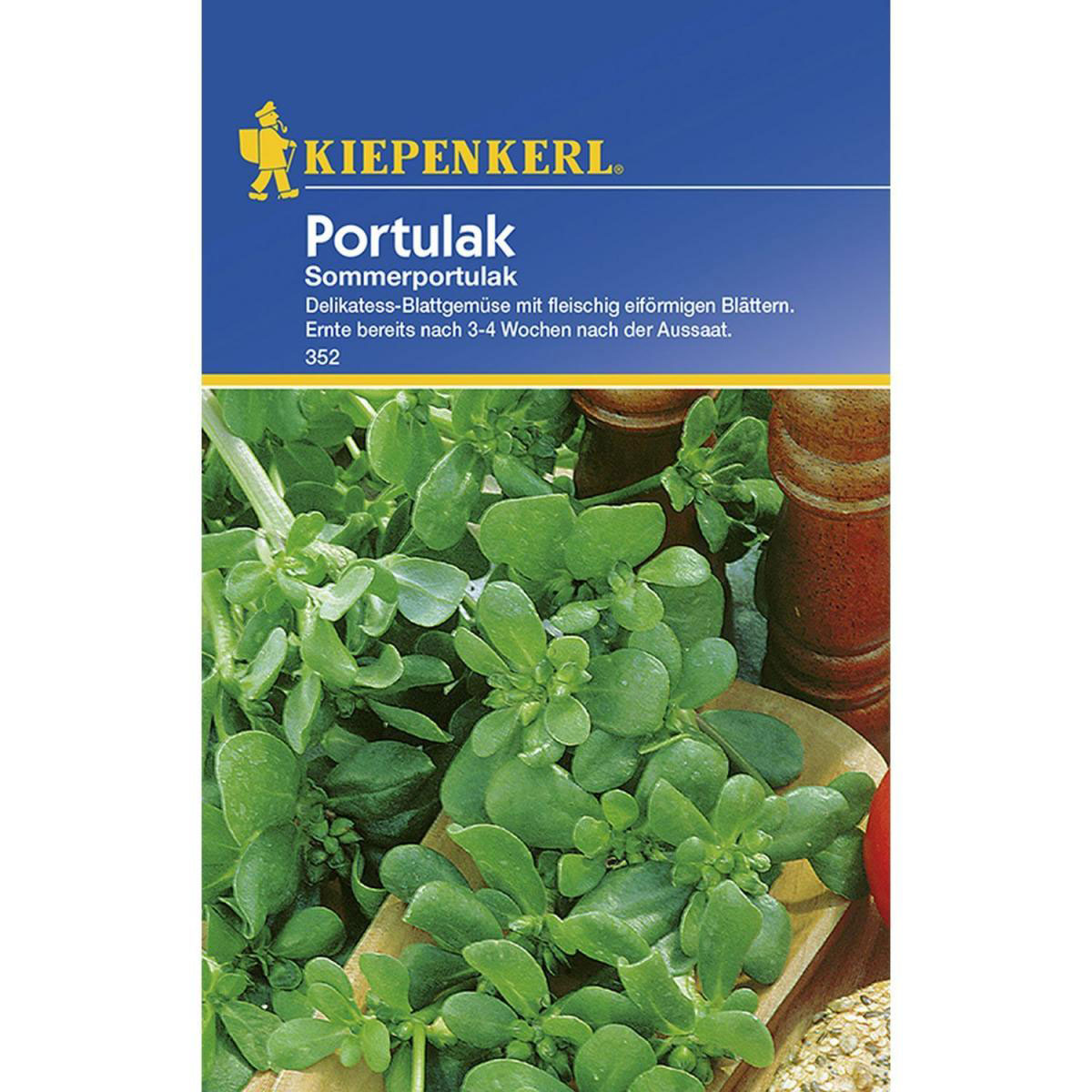 Kiepenkerl Sommerportulak