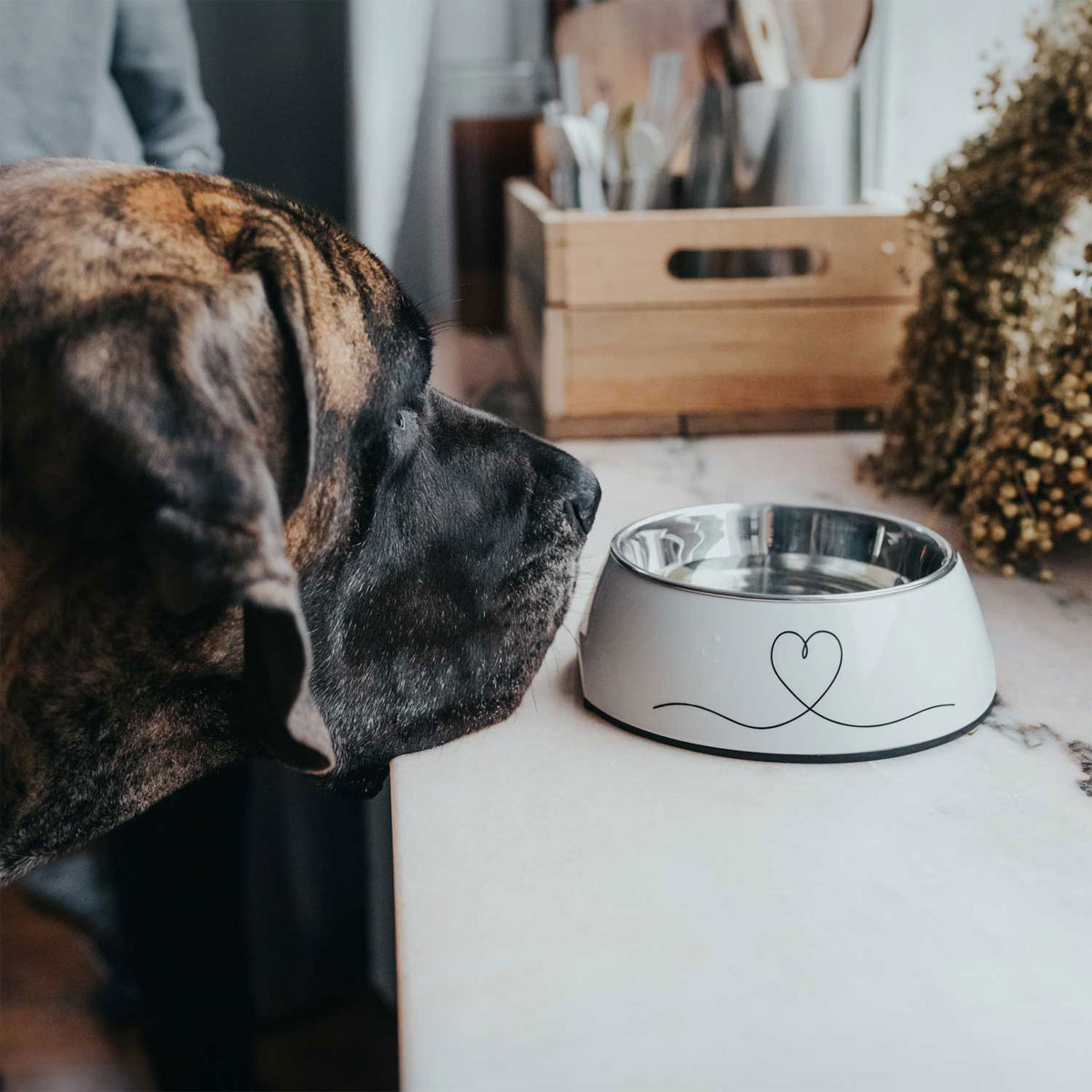 Hunter Melamin-Napf Valencia weiß 160 ml Bild 5