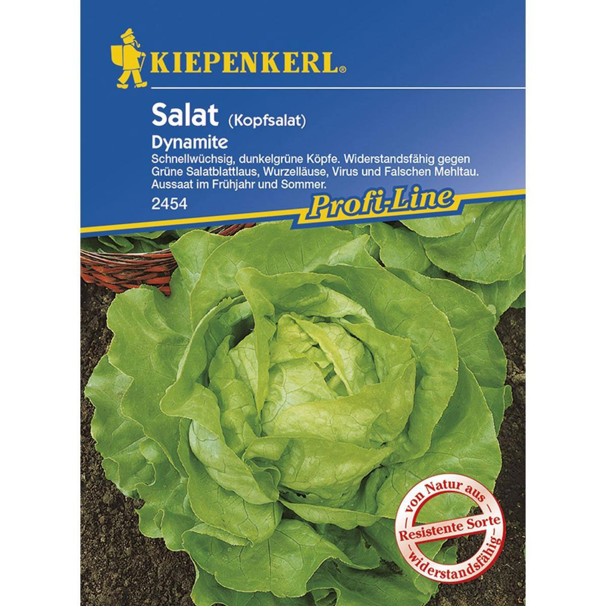 Kiepenkerl Kopfsalat Dynamite Profi-Line