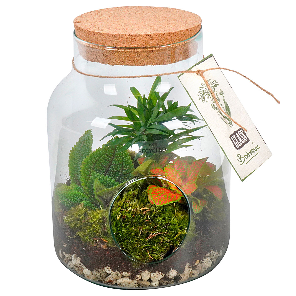Plantiflor  Bepflanztes Glas mit Deckel und Öffnung vorne 28 x 19 cm