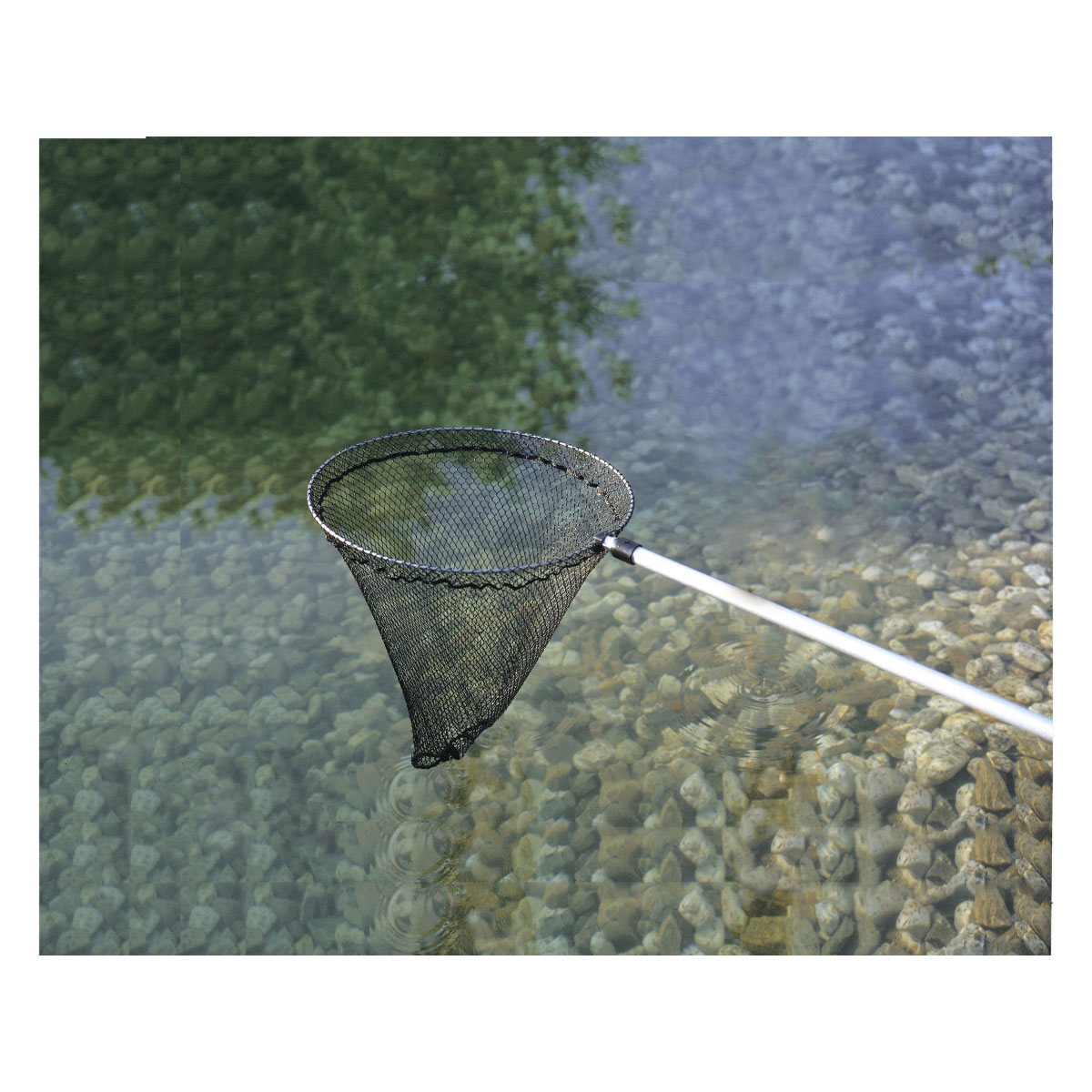 Oase Fischkescher Bild 2