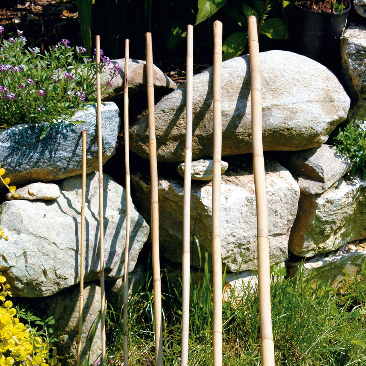 Bambusstab 90 cm Bild 2