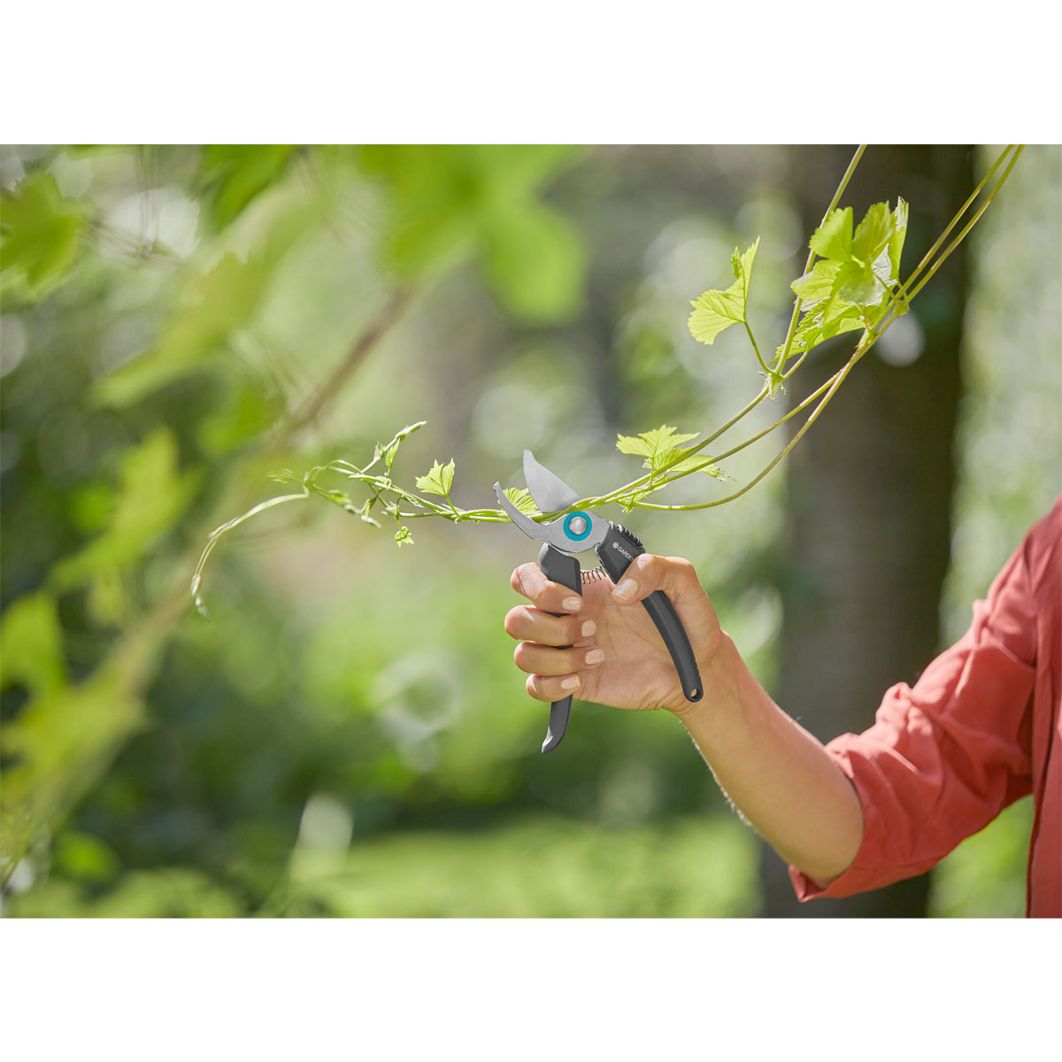 Gardena  Gartenschere EcoLine Bild 5