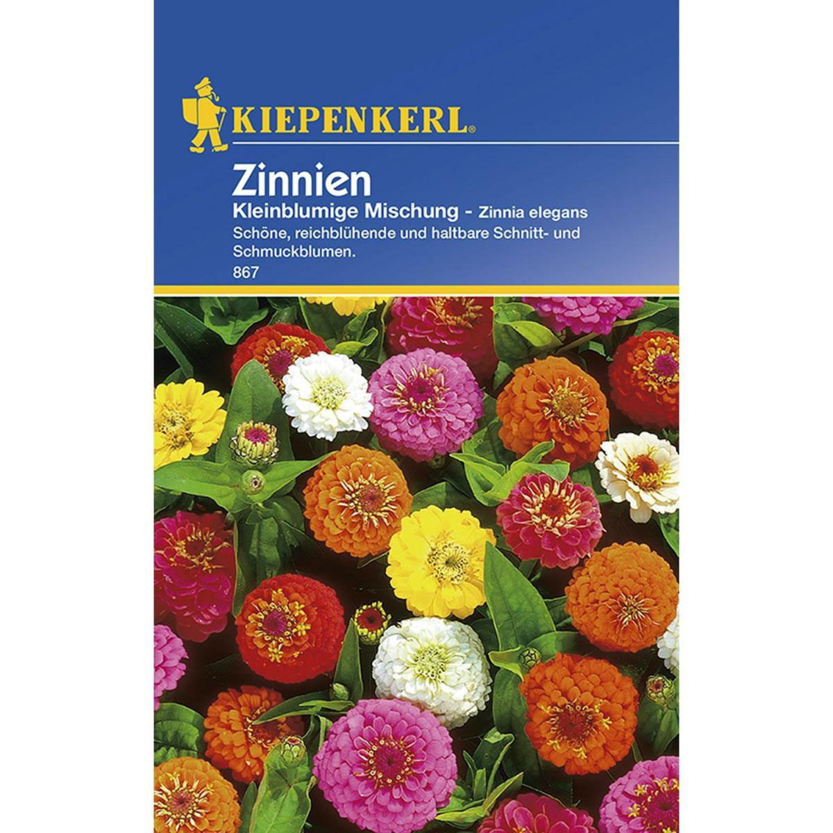 Kiepenkerl Zinnien kleinblumige Mischung