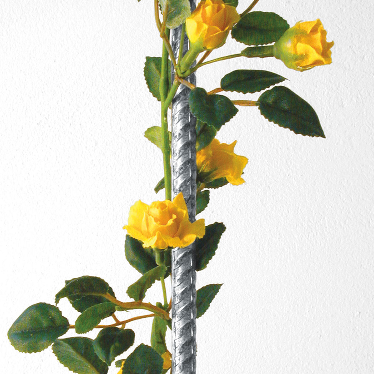 Pflanzstab 180 cm 847337