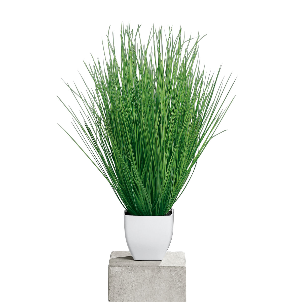 Kunstgras im Kunststofftopf weiß 55 cm Bild 1
