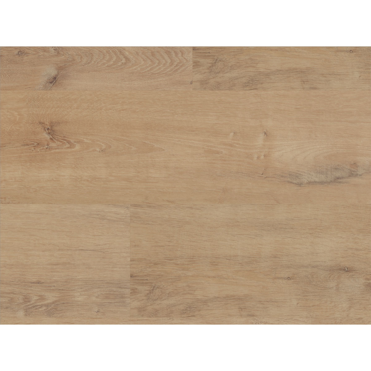 Specht Vinylboden Ambiente Honig Eiche 1210 x 190 x 5 mm
