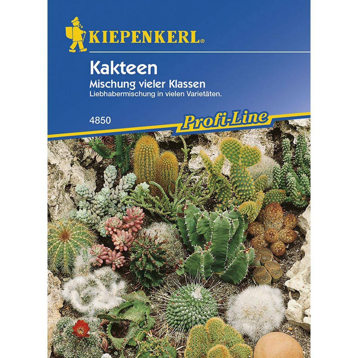 Kiepenkerl Kakteen Mischung vieler Klassen Profi-Line