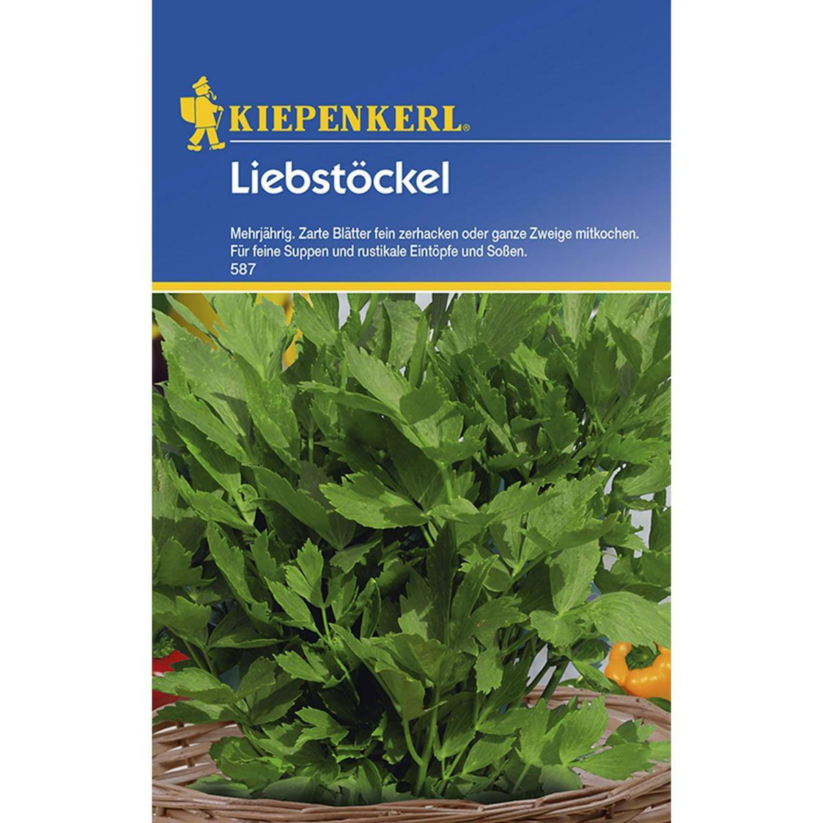 Kiepenkerl Liebstöckel Maggikraut