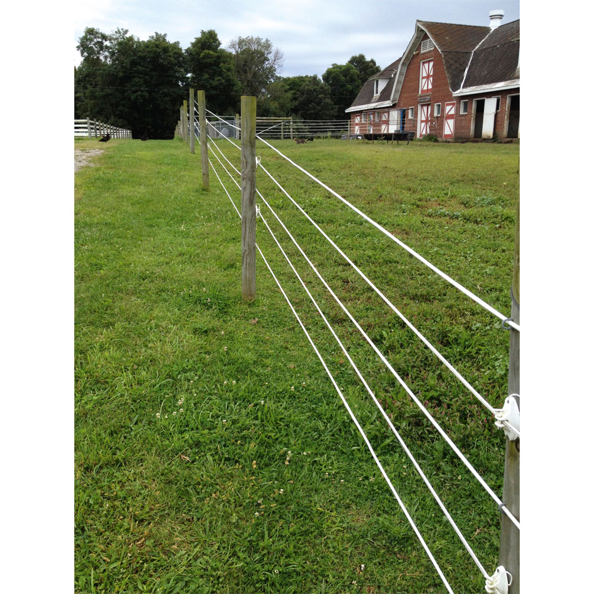 Weidezaun Top Line Horewire 200 m weiß Bild 9