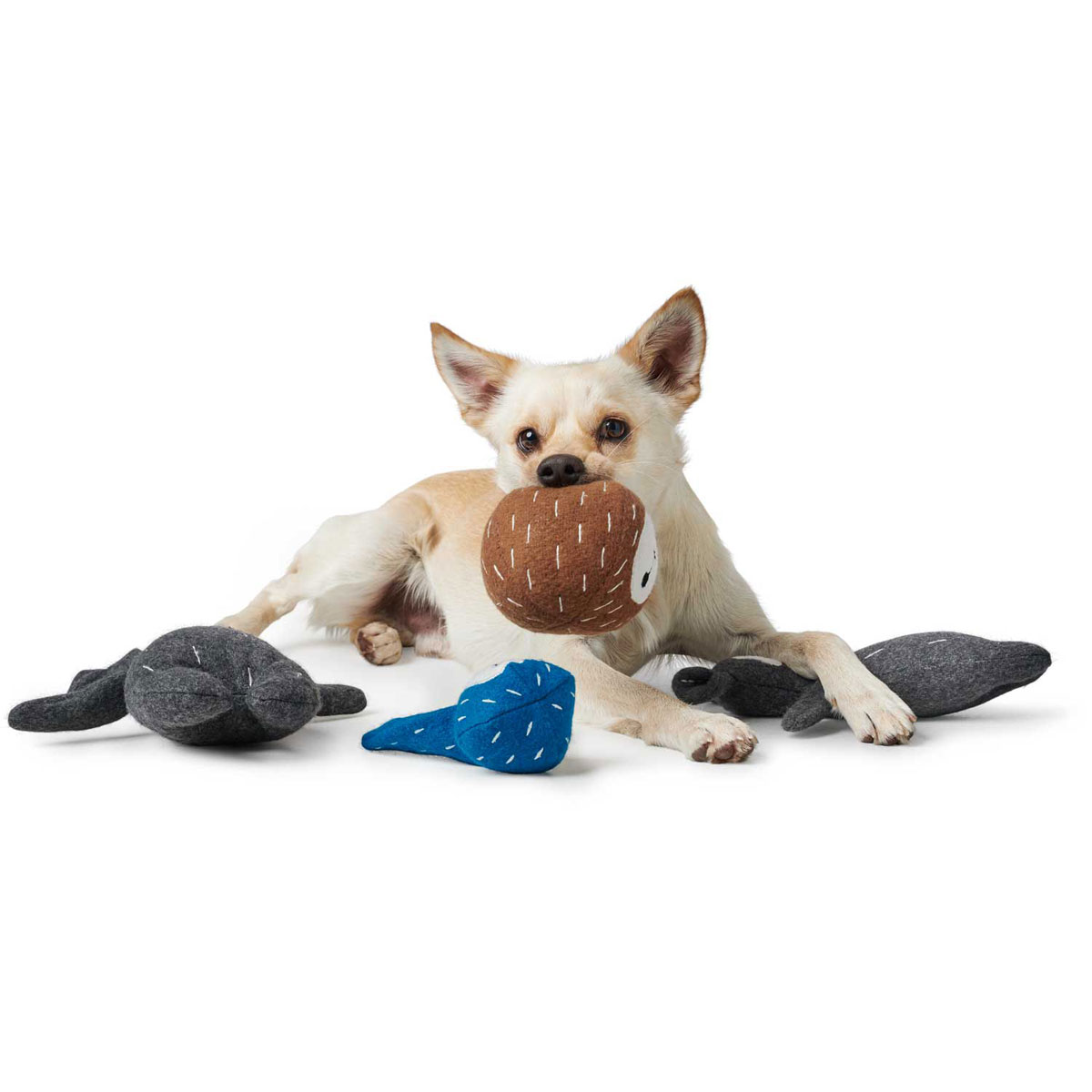 Hunter Hundespielzeug Tirana Hase blau 12 x 24 cm Bild 3