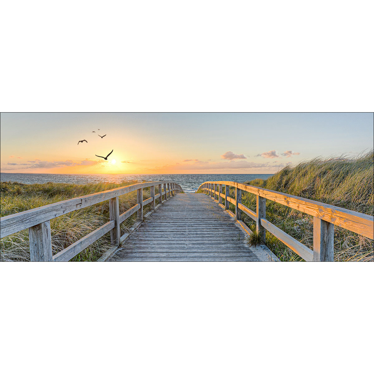 Glas-Art Birds Above Lost Sea 30 x 80 Glasbild