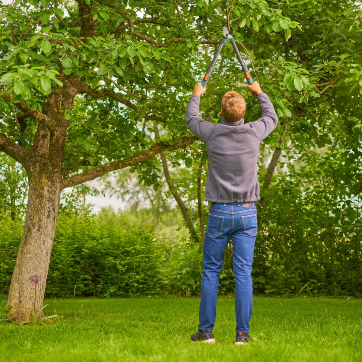 Gardena Astschere TeleCut Pro S teleskopierbar Bild 5