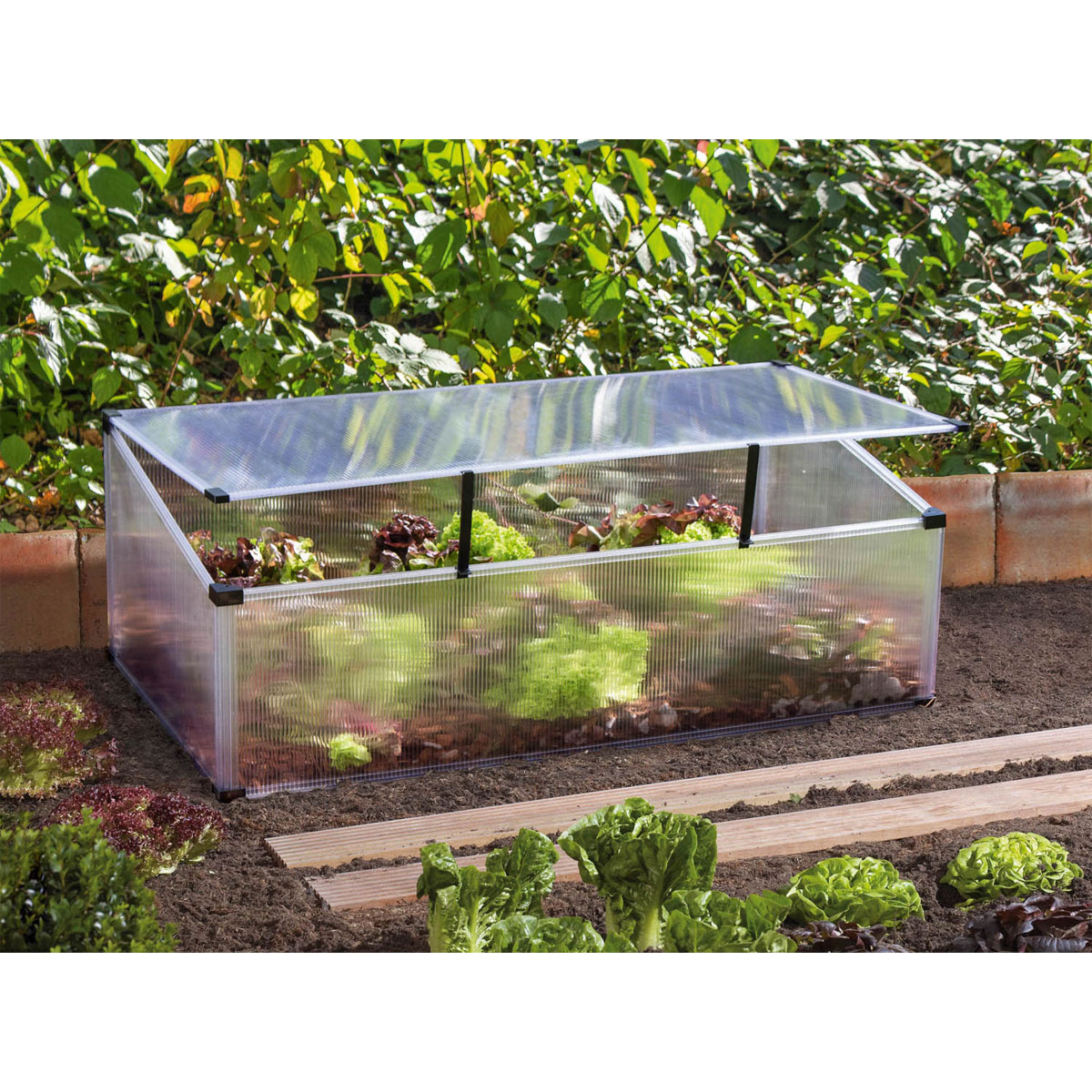 Vitavia Frühbeet Feronia transparent