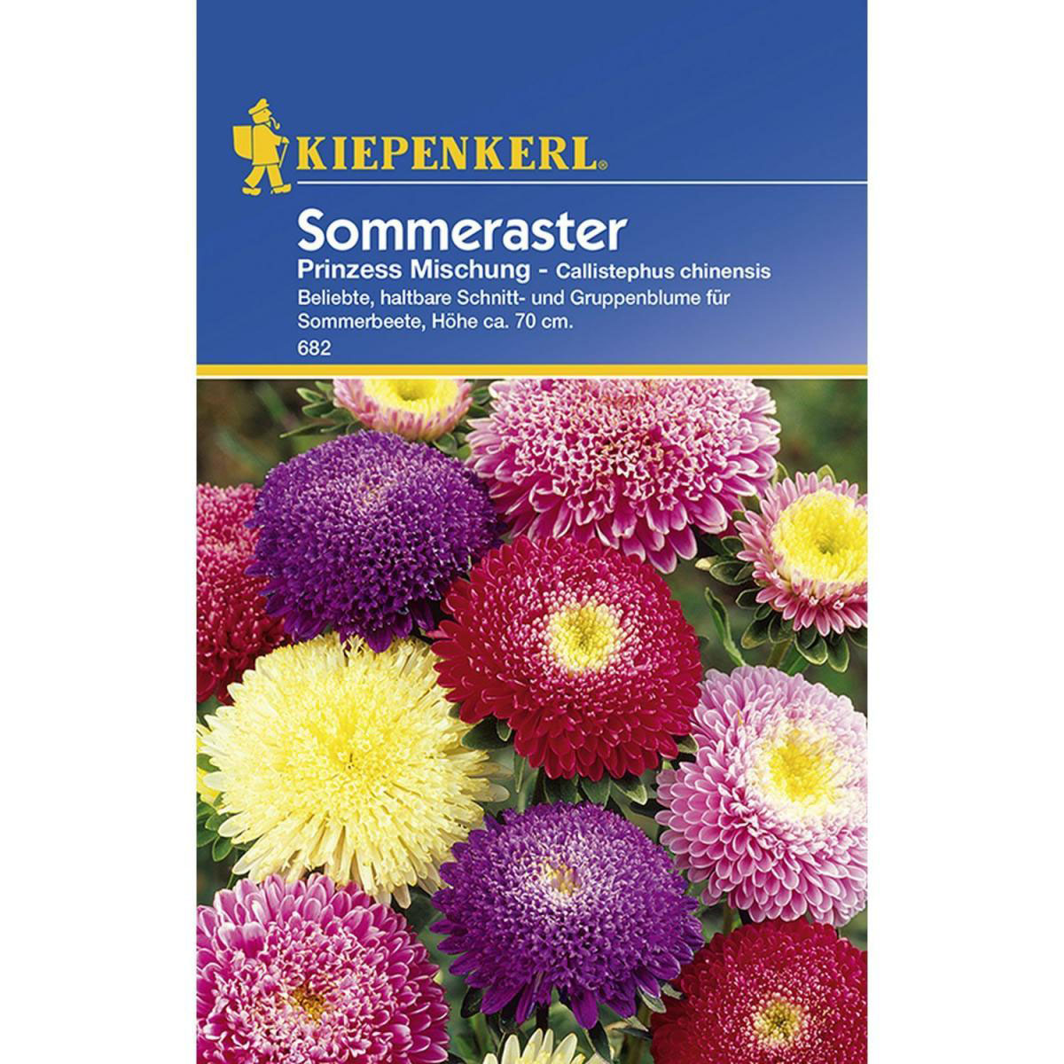 Kiepenkerl Prinzeß-Aster Callistephus Mischung