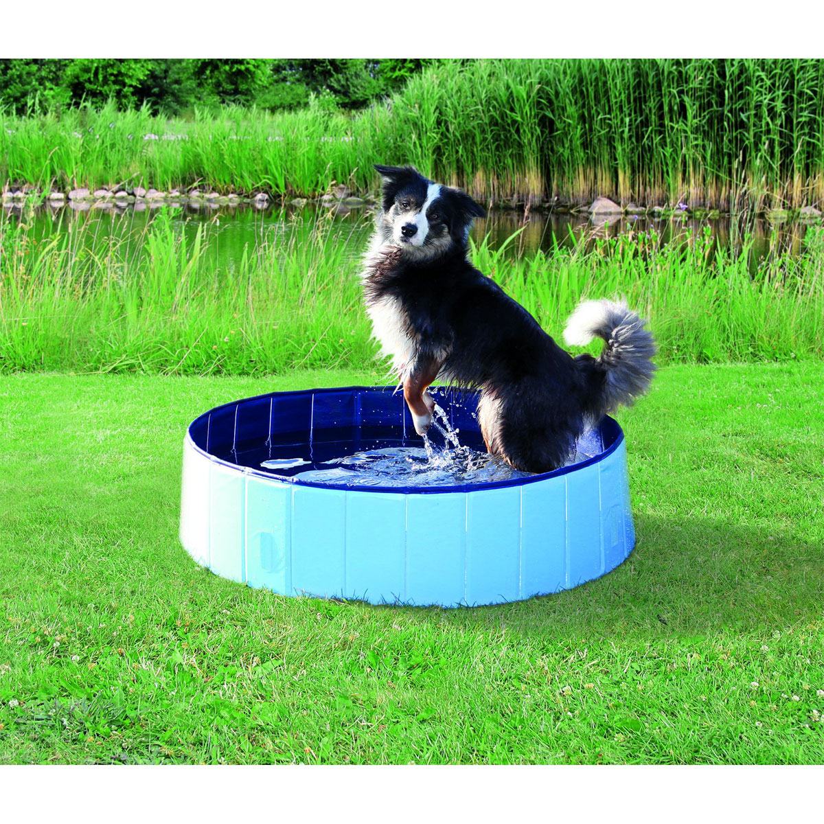 Trixie Dog Pool hellblau/blau ø80×20cm