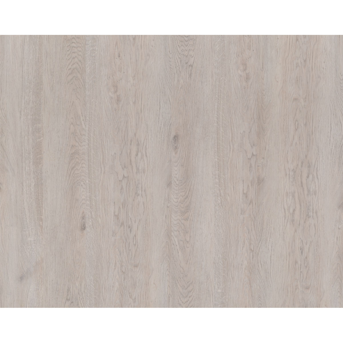 Specht Vinylboden Ambiente Polareiche 1210 x 190 x 5 mm