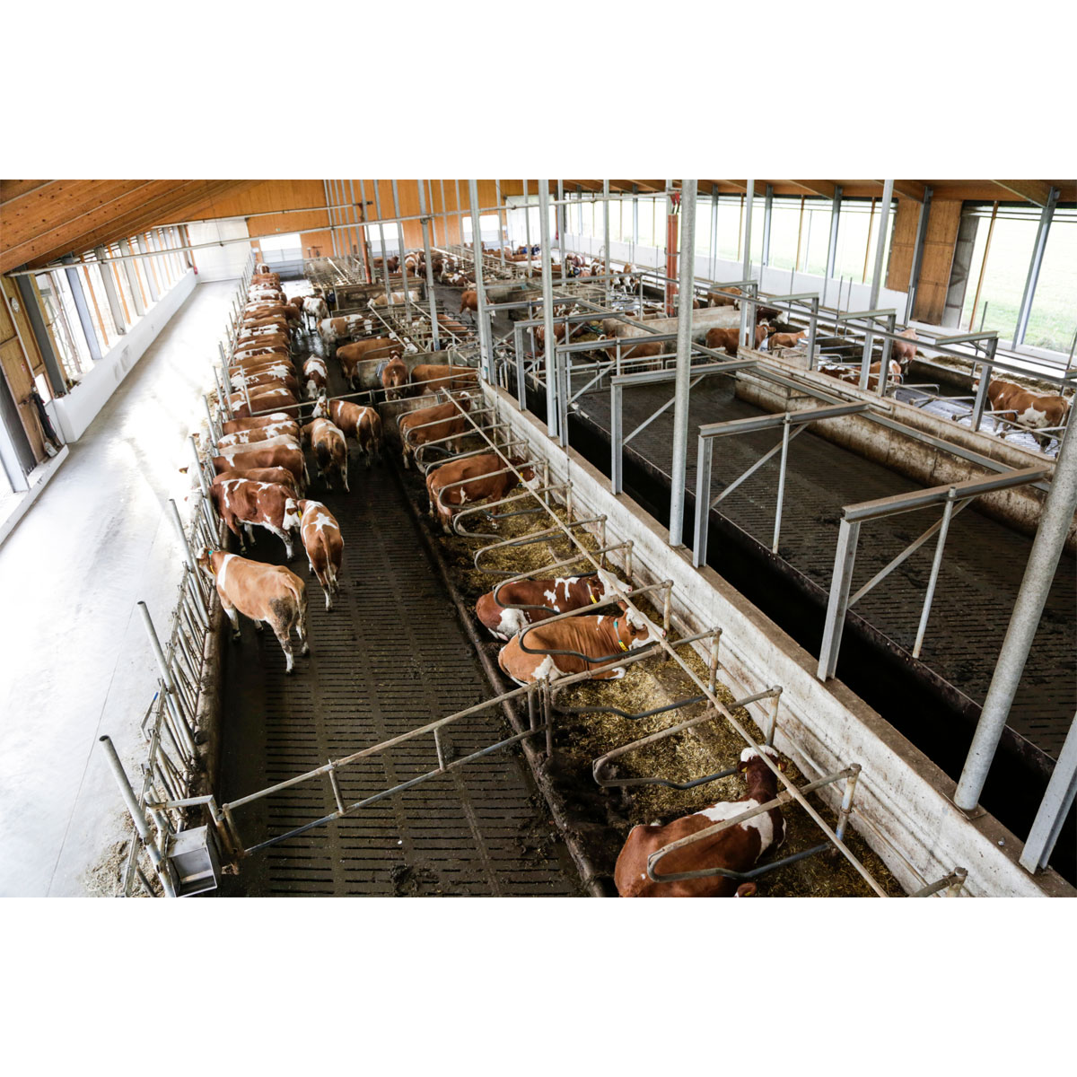 Outdoor-Kamera FHD schwarz 25 x 14 x 33 cm Bild 3