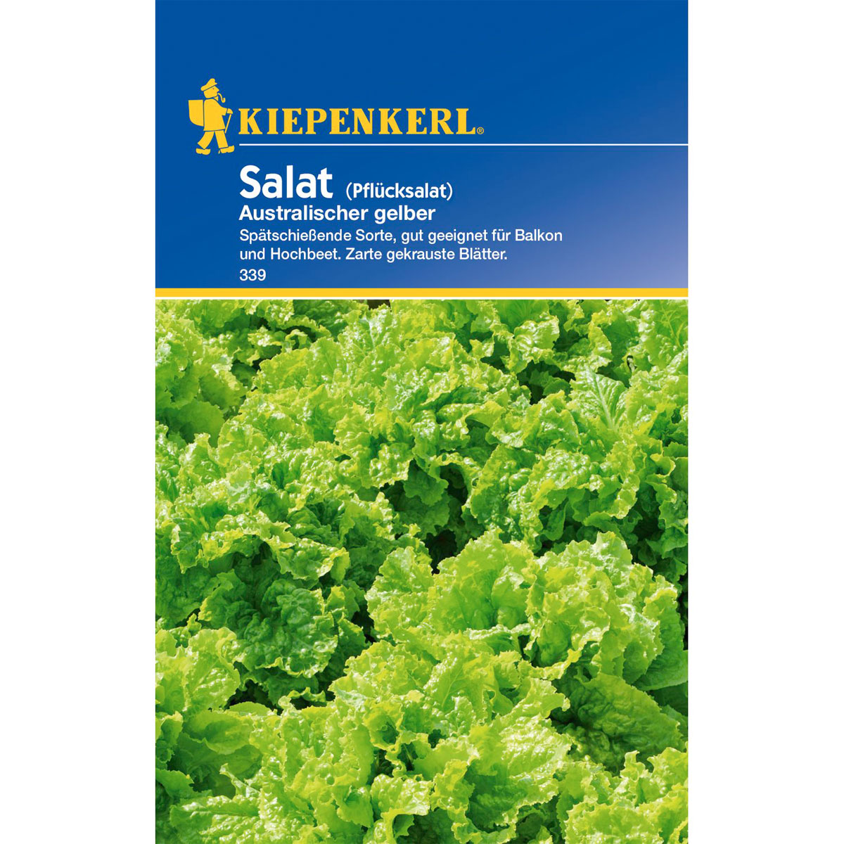 Kiepenkerl Salat Australischer gelber Bild 1