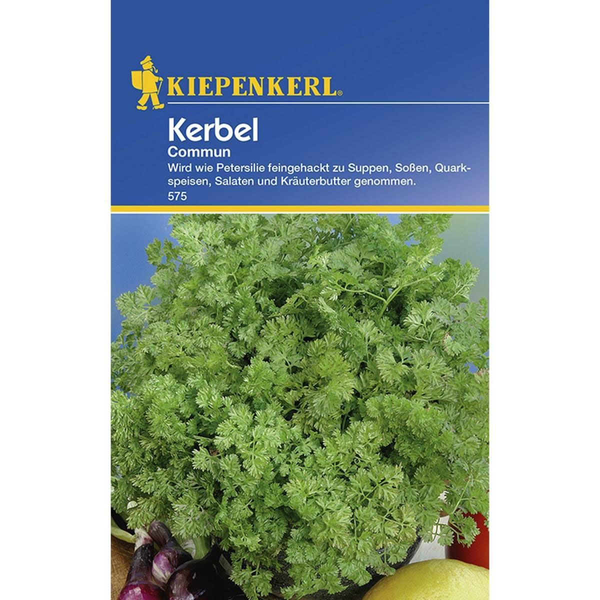 Kiepenkerl Kerbel Commun einjährig