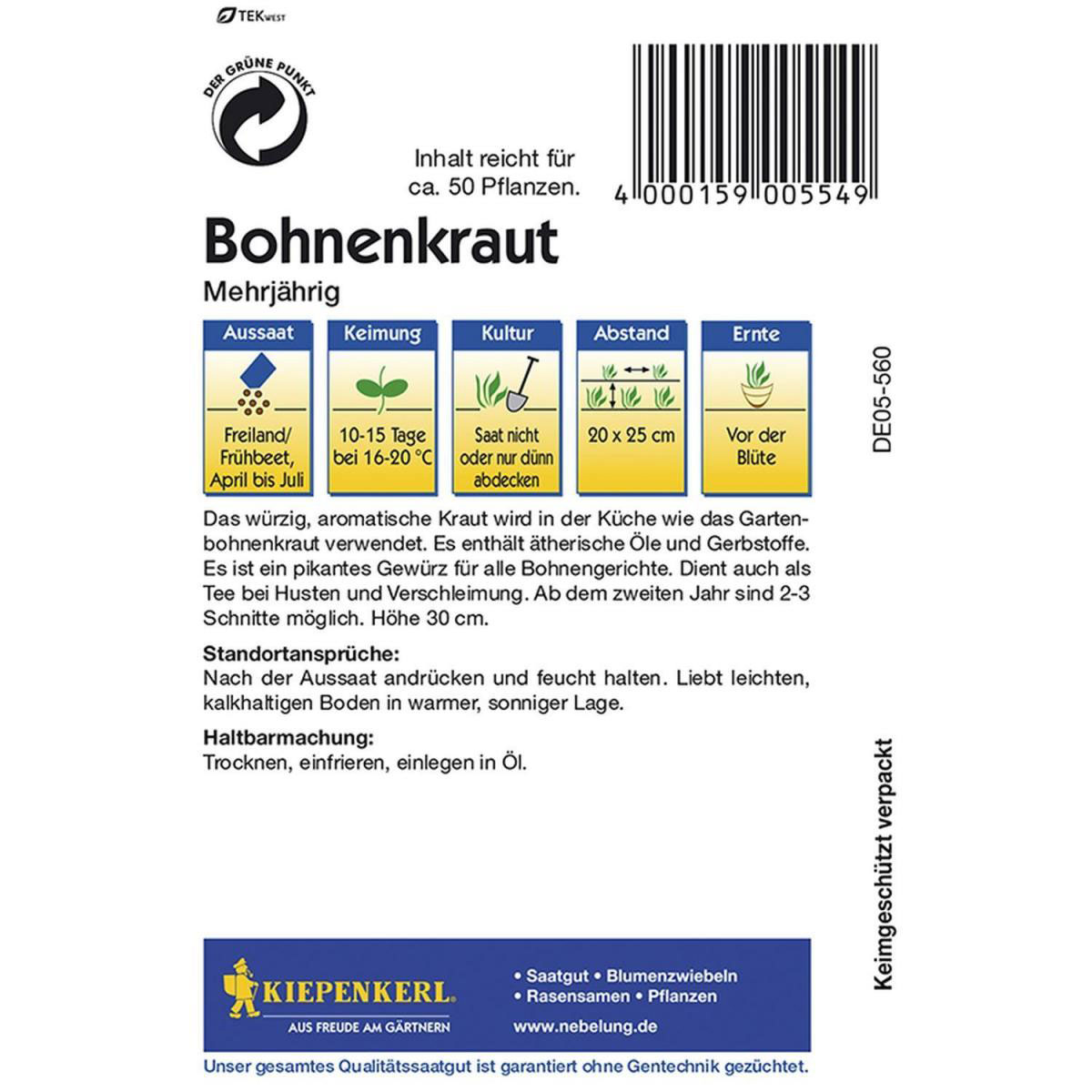 Kiepenkerl Bohnenkraut mehrjährig Bild 2