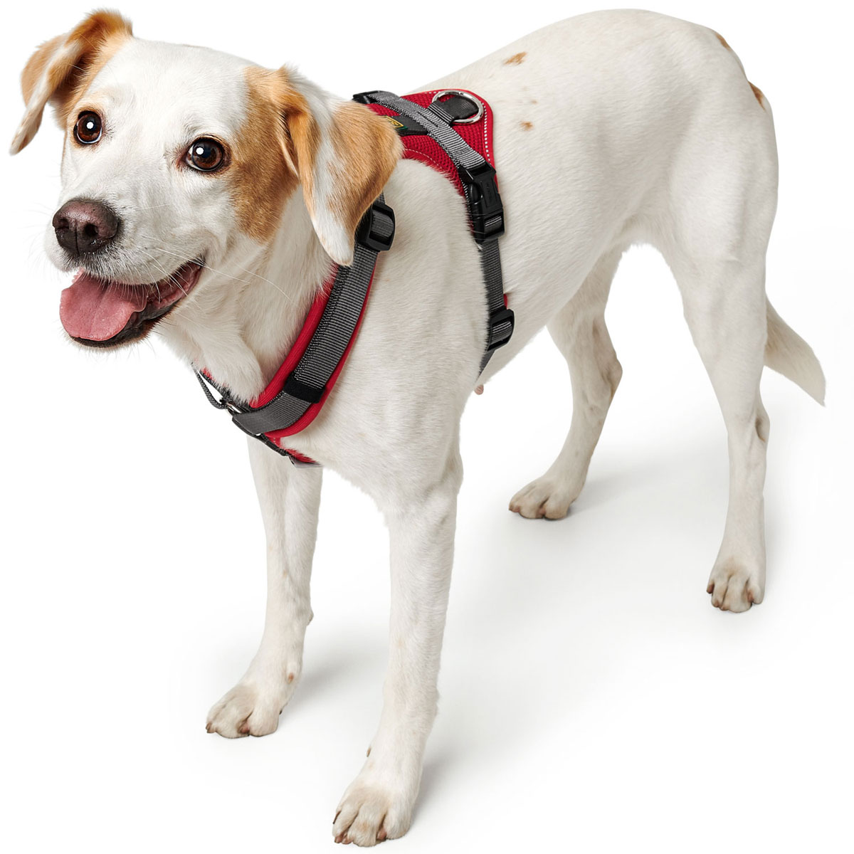 Hunter Hundegeschirr Maldon rot-grau Größe M Bild 2