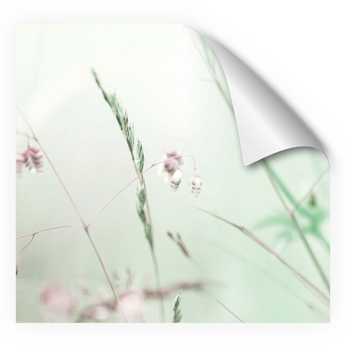MySpotti Fixy KüchenrückwandfolieWildblumen