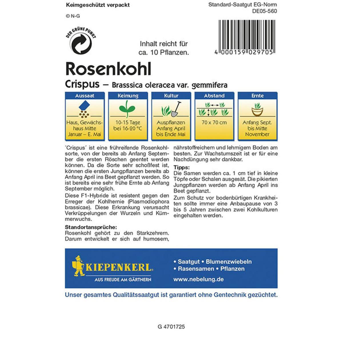 Kiepenkerl Rosenkohl Crispus Bild 2