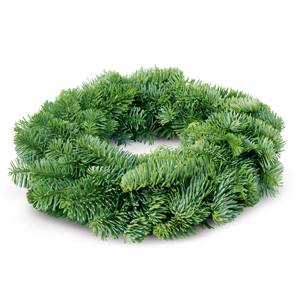 Plantiflor  Adventskranz Nobilistanne Durchmesser ca 25 cm