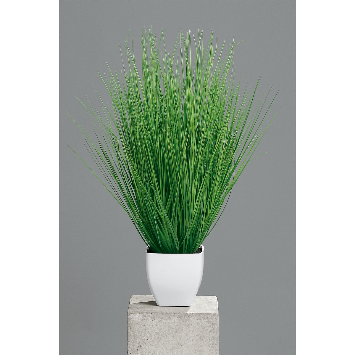 Kunstgras im Kunststofftopf weiß 55 cm Bild 2