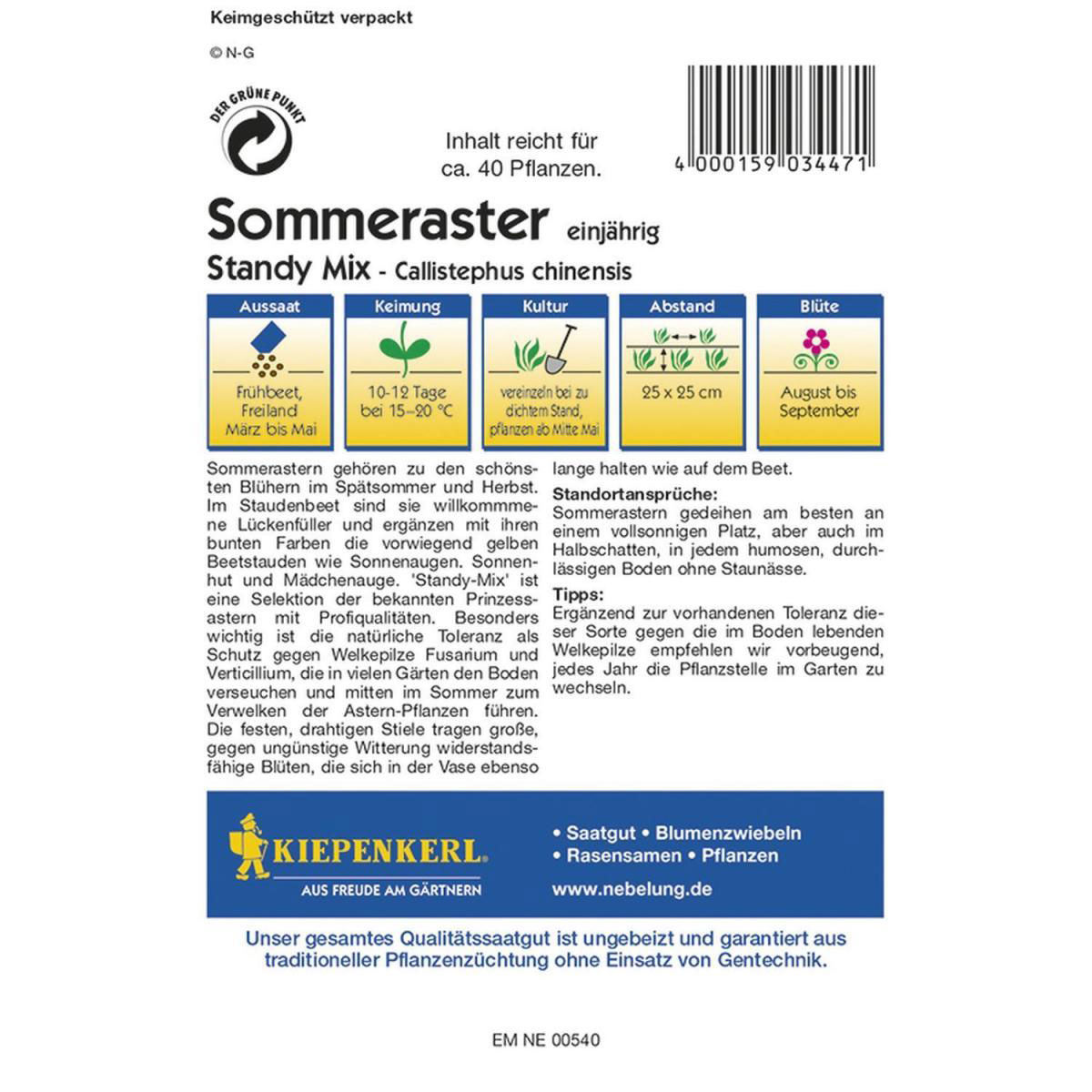Kiepenkerl Sommeraster Standy Mix Profi-Line Bild 2