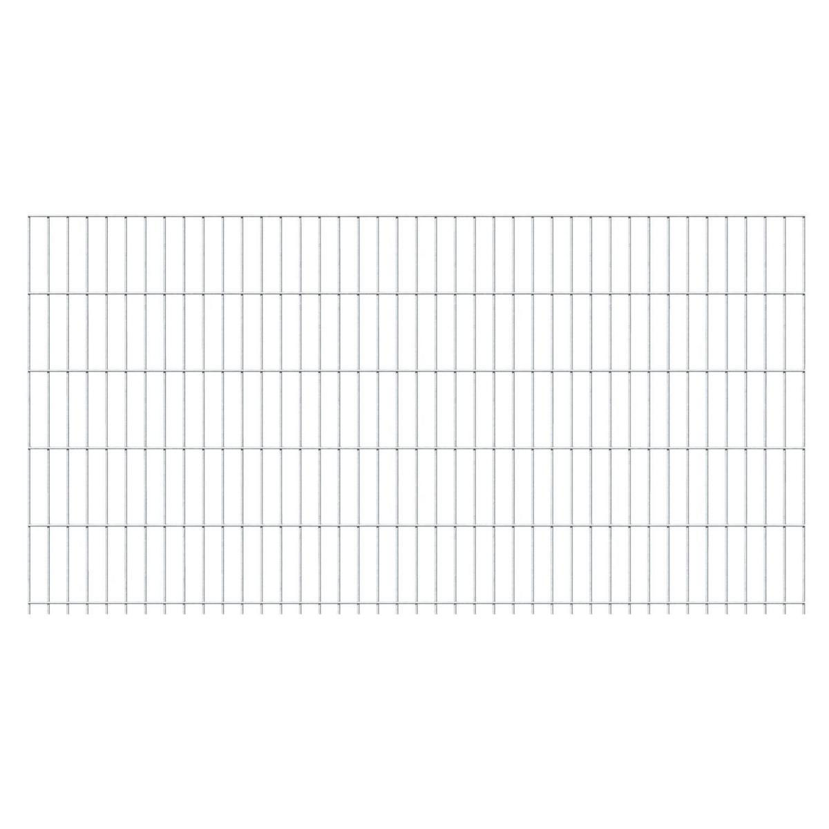 GAH Alberts Doppelstabmatte 6/5/6 feuerverzinkt 250 x 103 cm