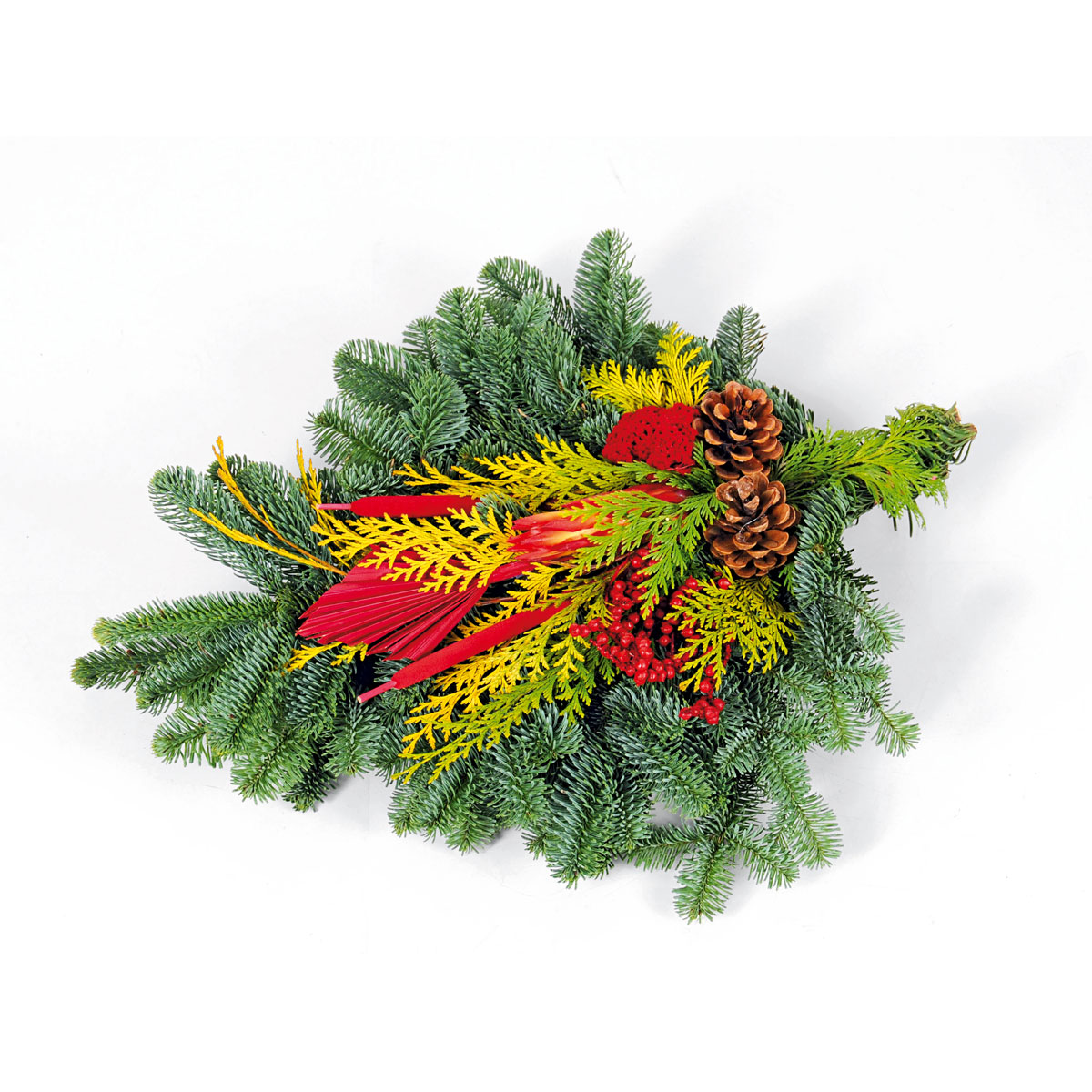 Plantiflor  Nobilis-Grabstrauß 50 cm