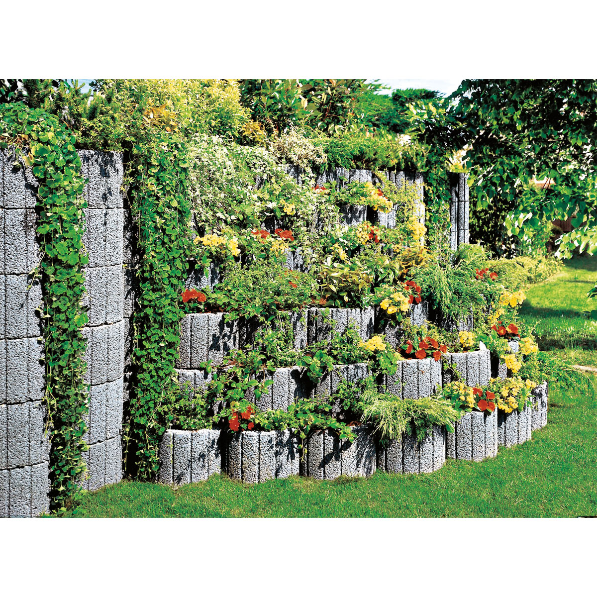 Lusit  Pflanzring klein grau 30 x 20 cm Bild 4