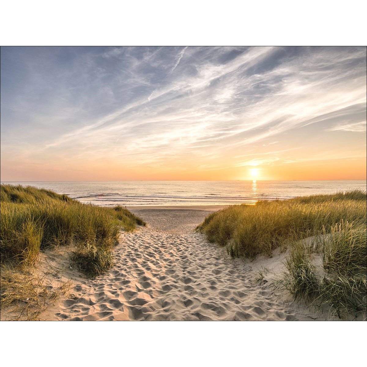 Canvas-Art Weg zum Strand 60 x 80 cm