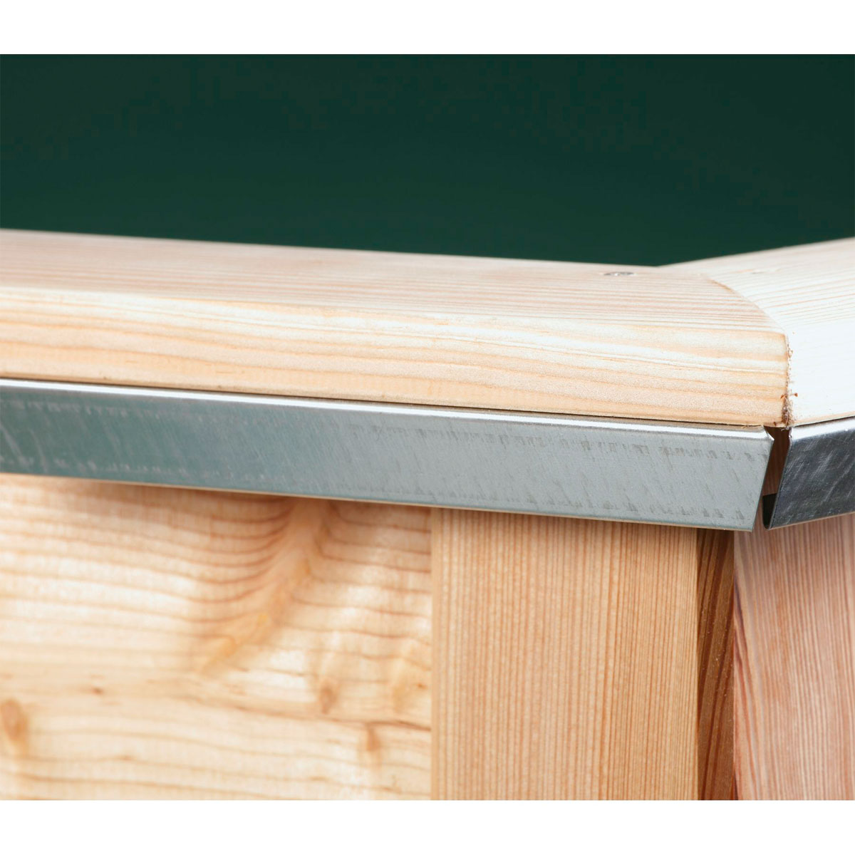 KGT Schneckenkante Woody light