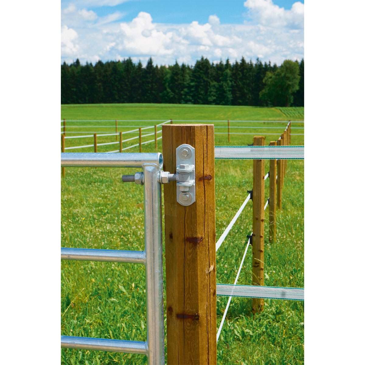 Weidetor verstellbar 110 cm 2 x 3 m Bild 4