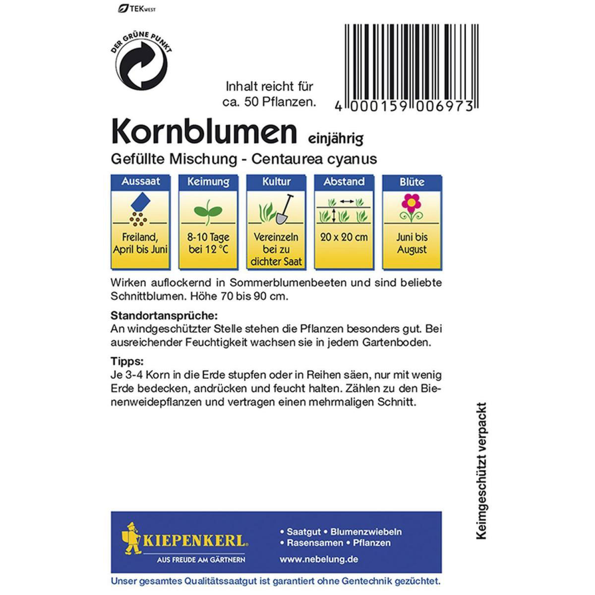 Kiepenkerl Kornblumen Centaurea Bild 2