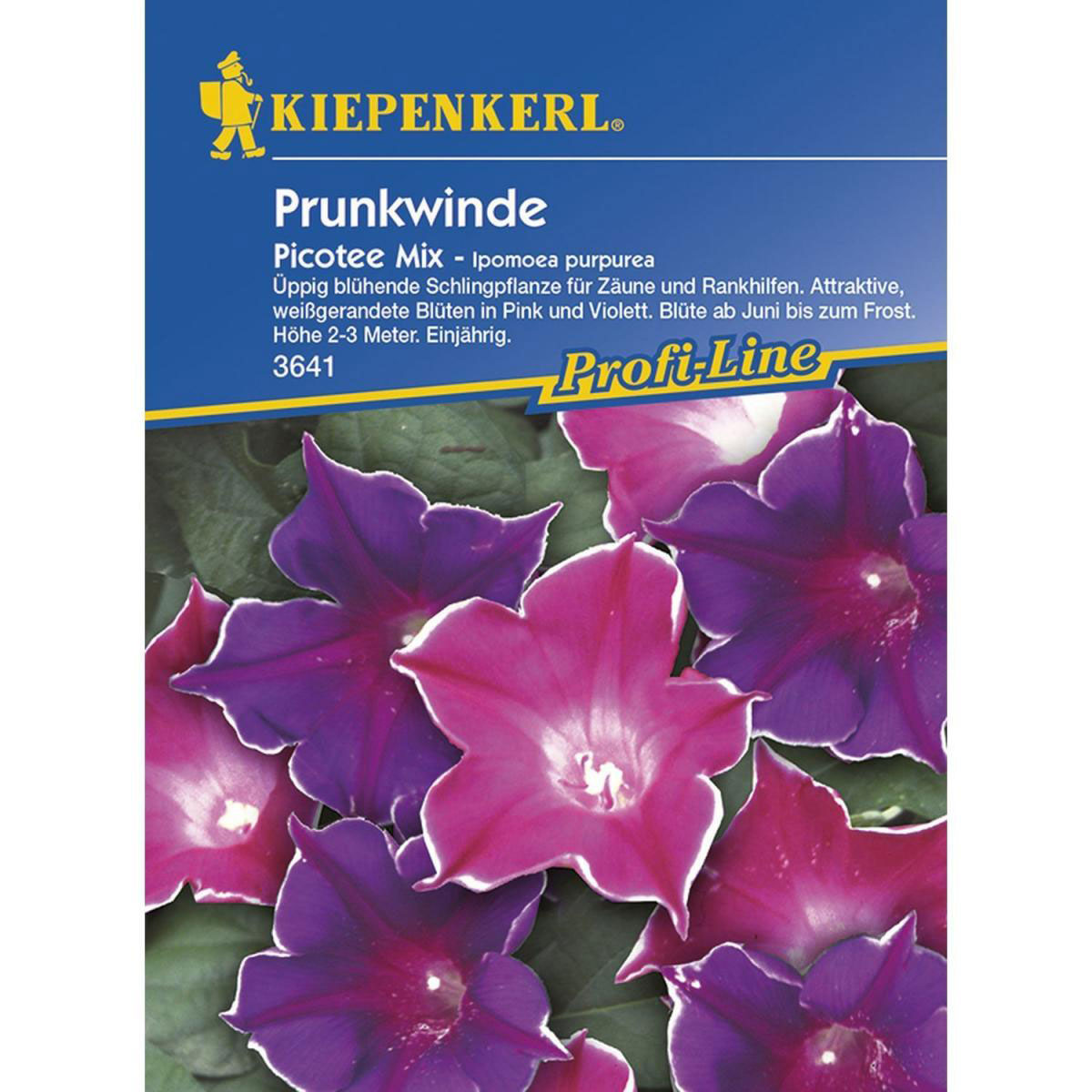 Kiepenkerl Trichterwinde Ipomoea Picotee Mix Profi-Line