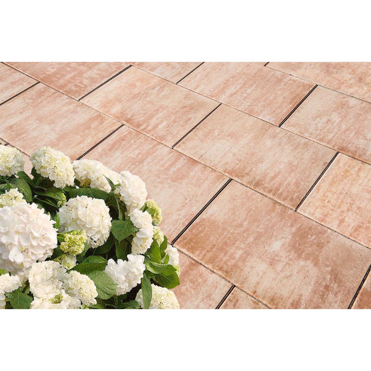 Diephaus  Terrassenplatte No 1 Plain Sandstein 60 x 40 x 4 cm Bild 2