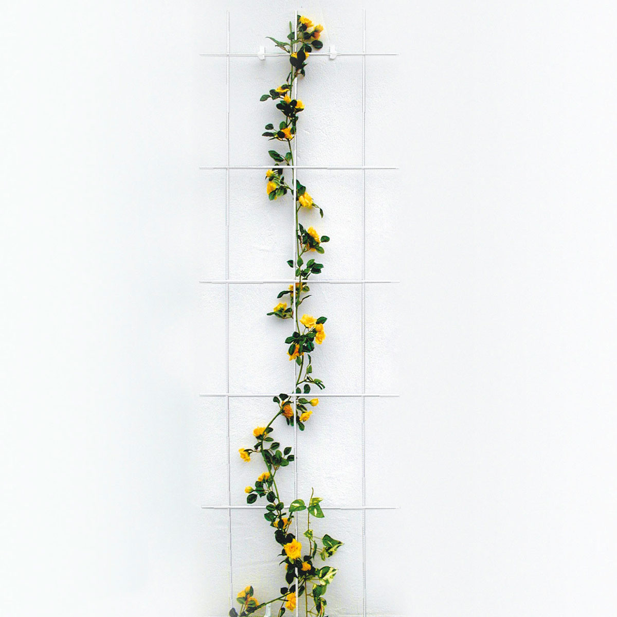 Spalier 3- strebig weiß