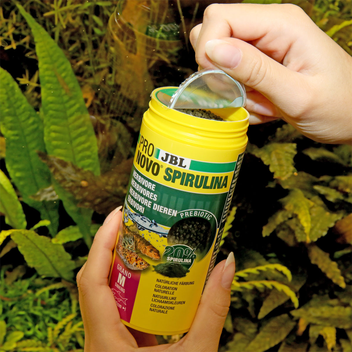 JBL  PRONOVO SPIRULINA GRANO M 250ml CLICK Bild 2