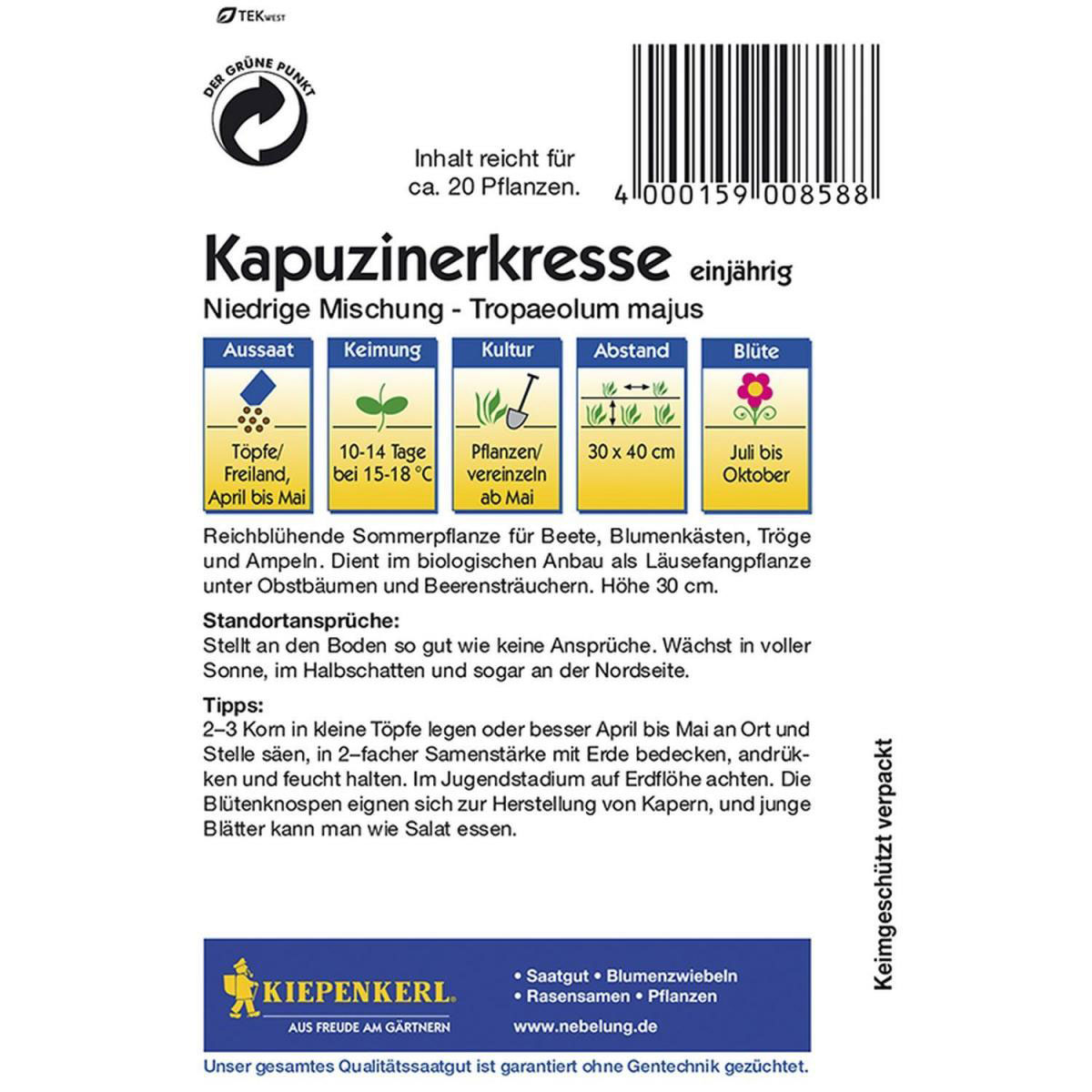 Kiepenkerl Kapuzinerkresse niedrige Mischung Bild 2