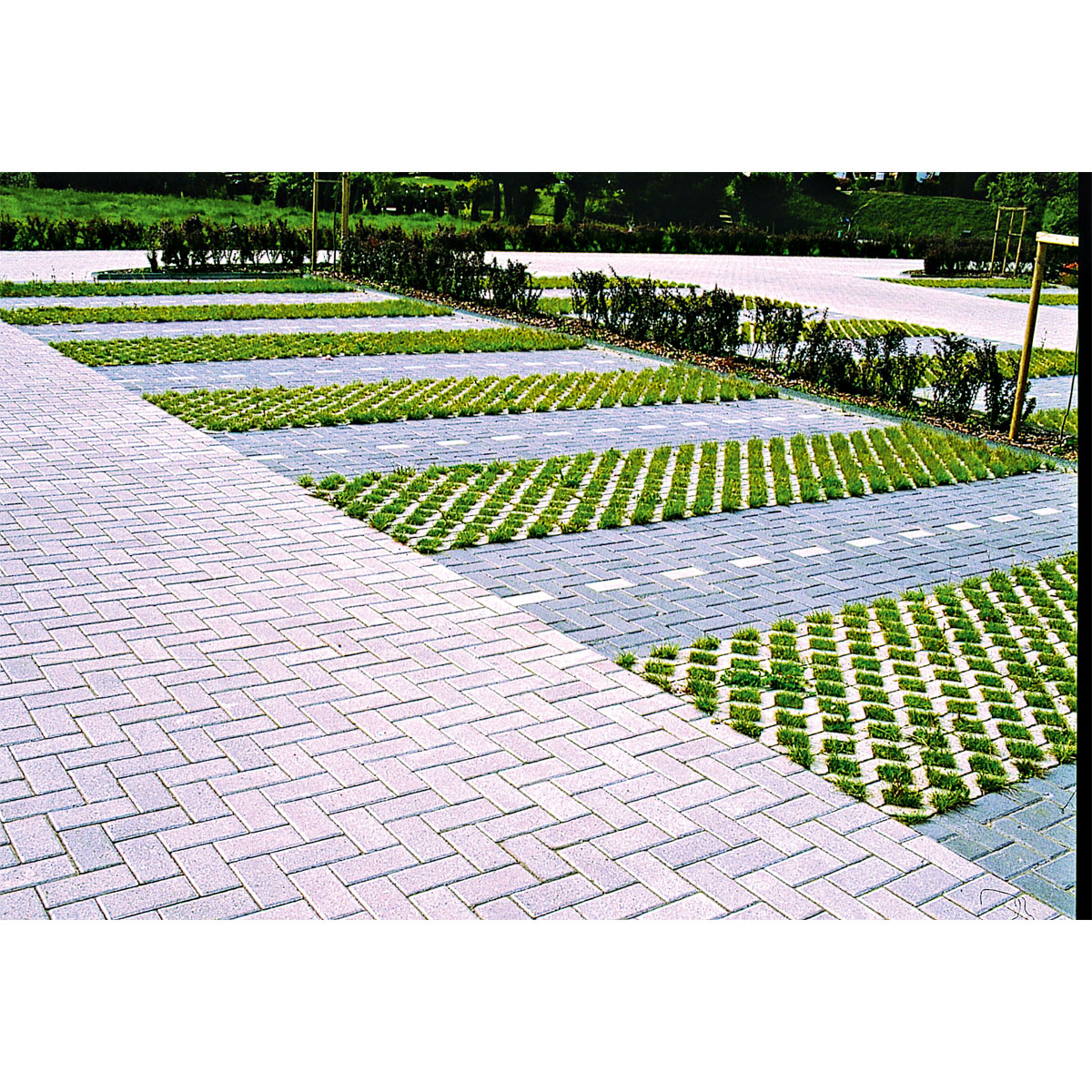 Lusit  Rasengitterstein 60 x 40 x 8 cm grau Bild 6