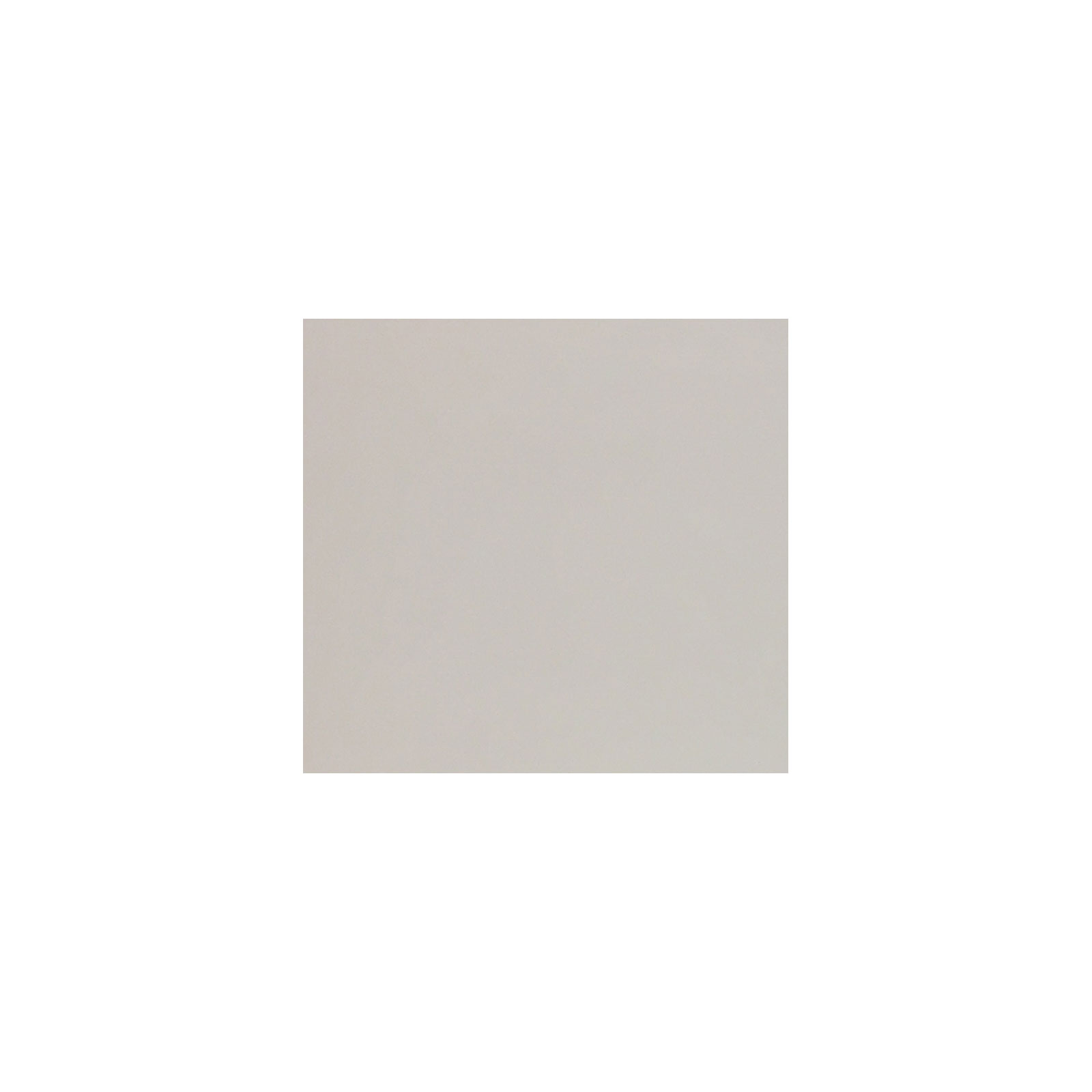 Plantiflor  Hauswurzen 4er-Pack