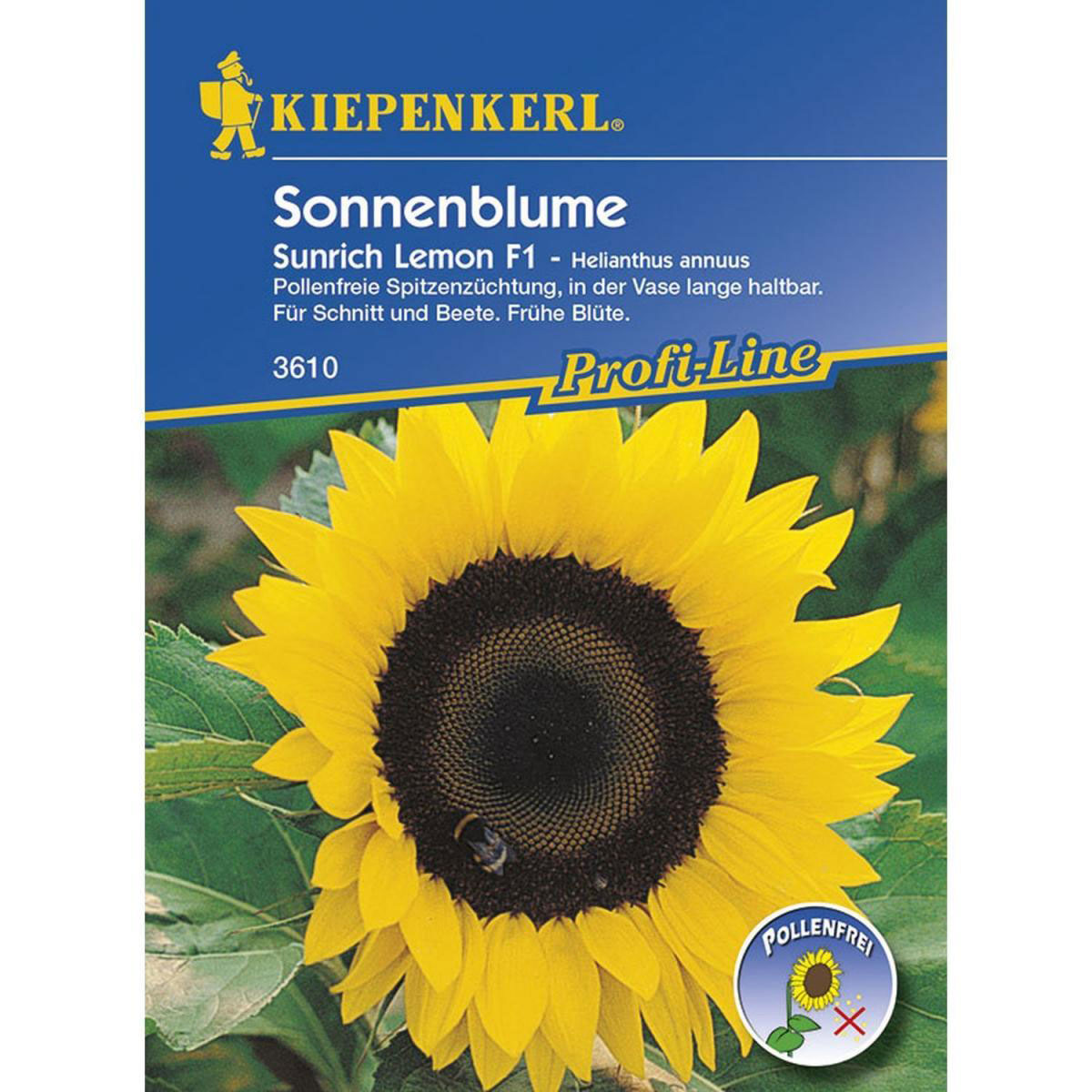 Kiepenkerl Sonnenblume Sunrich Lemon F1 Bild 1
