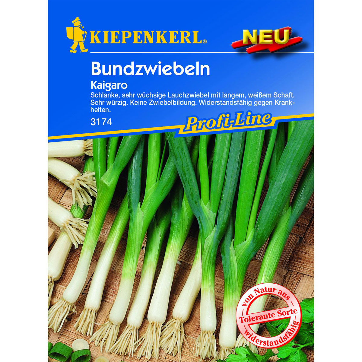 Kiepenkerl Lauchzwiebel Kaigaro Bild 1