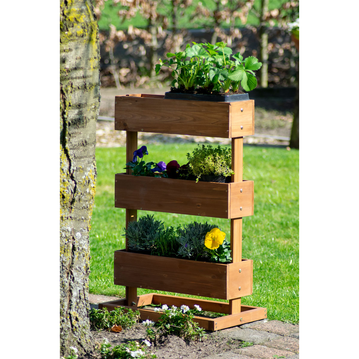 dobar Vertikalbeet 49,5 x 78 x 30 cm braun Bild 6