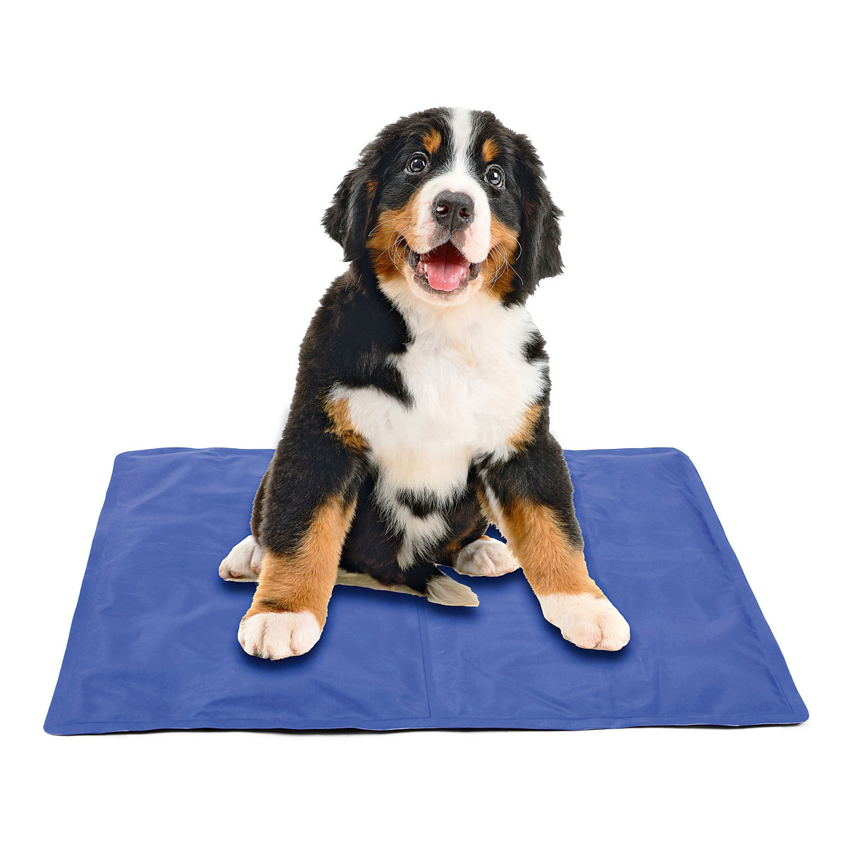 Champs Kühlmatte S 50 x 40 cm blau Bild 2
